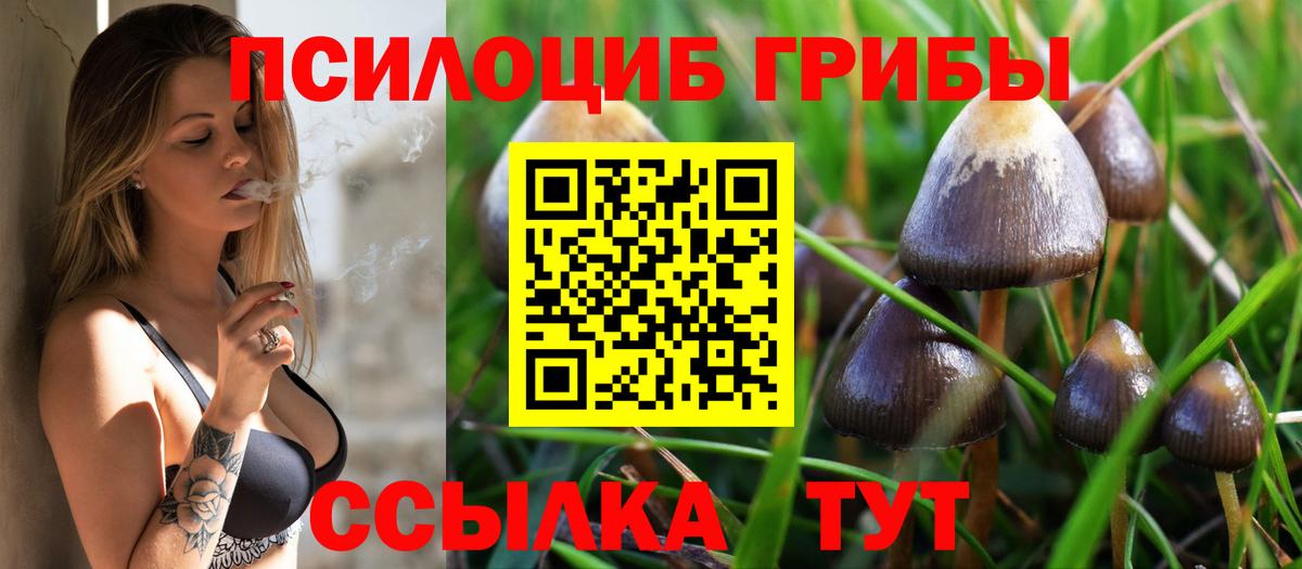 Калининград  Псилоцибиновые грибы GOLDEN TEACHER  Вход с VPN 