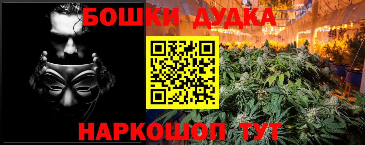 Канабис сатива Калининград